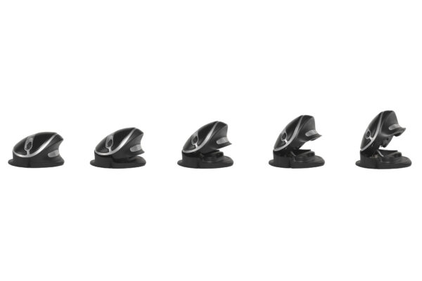 Oyster muis - Afbeelding 3