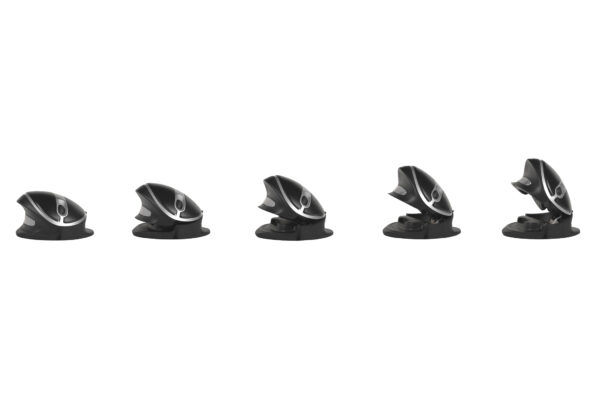 Oyster muis - Afbeelding 2