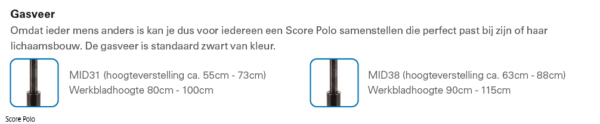 Score Polo
