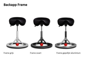 Backapp frame